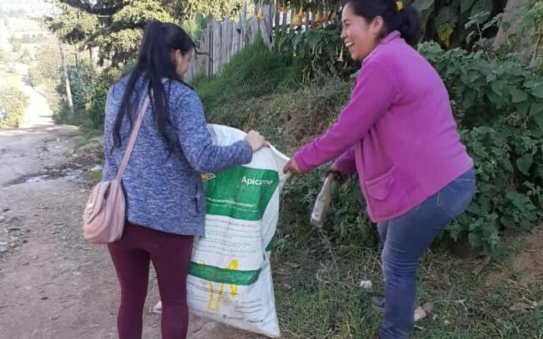 Cuidando Nuestro Medio Ambiente