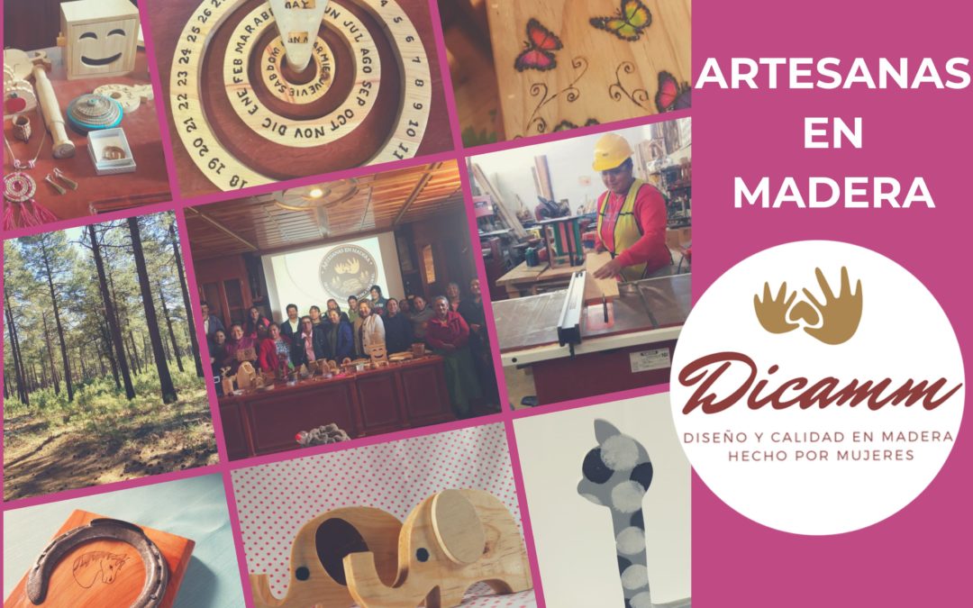 Proyecto Artesanas en Madera de la Sierra Norte de Puebla.