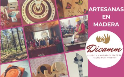 Proyecto Artesanas en Madera de la Sierra Norte de Puebla.