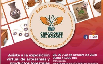 Expo Virtual Creaciones del Bosque