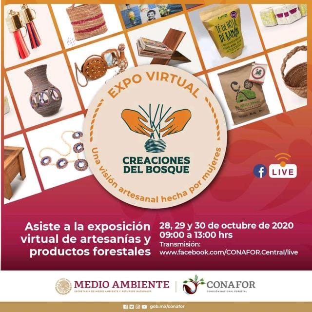 Expo Virtual Creaciones del Bosque